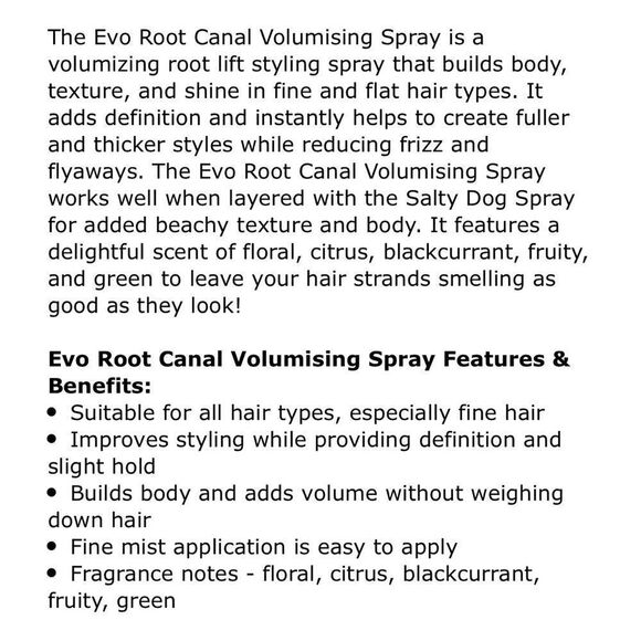 EVO Root Canal texture root lift styling spray - Picture 2 of 2